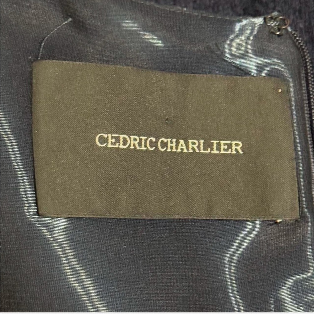 Cedric Charlier navy iridescent liquid fabric sleeveless dress - Picture 8 of 10
